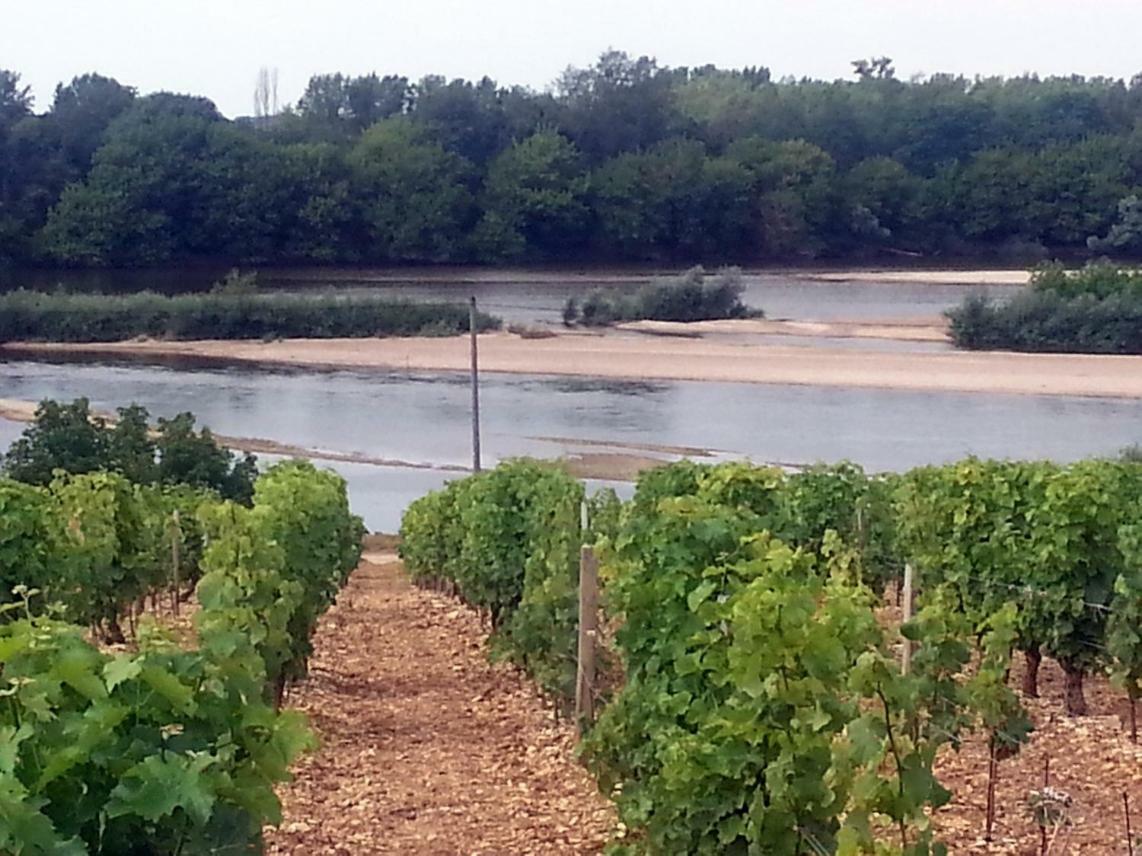 Gite Des Chaumiennes Pouilly-sur-Loire Exterior foto